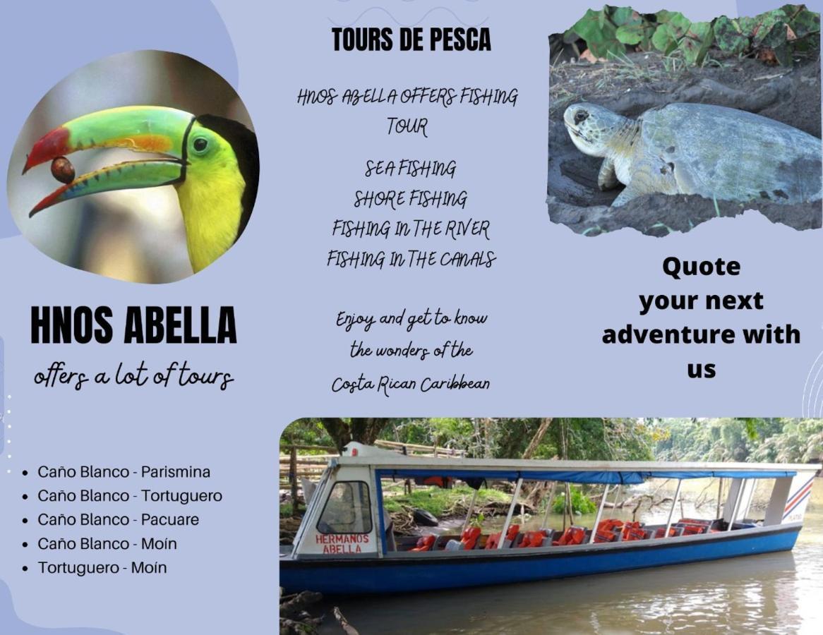 Sleep&Go! Cabina Cuadruple En Siquirres Centro - And Rafting Tour! Siqurres Da Alegria Exterior foto